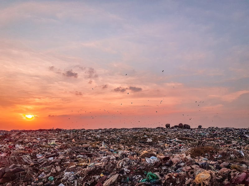 Waste Reduction Tips